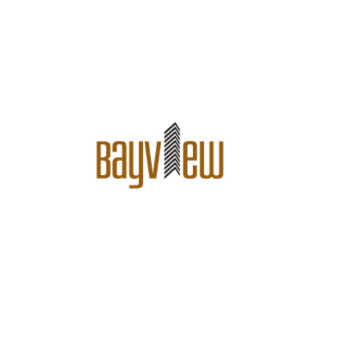 bayview technologies inc