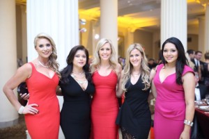 Jamie's Hope Angel Masquerade 2015 232