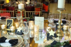 Jamie's Hope Angel Masquerade 2015 484
