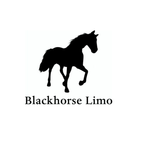 Blackhorse-Limo 500