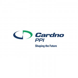 Cardno PPI Collage Logo for Web